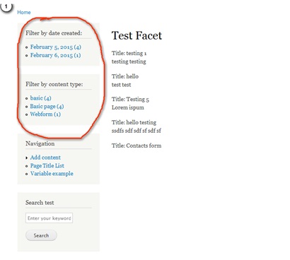 Facet4 image