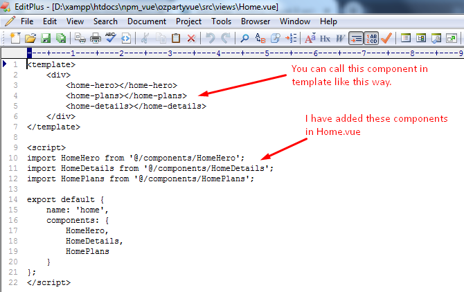 npm-home-vue