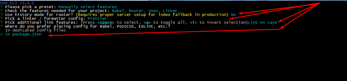 NPM Vue Create Project Step 6