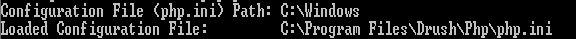 Php ini image